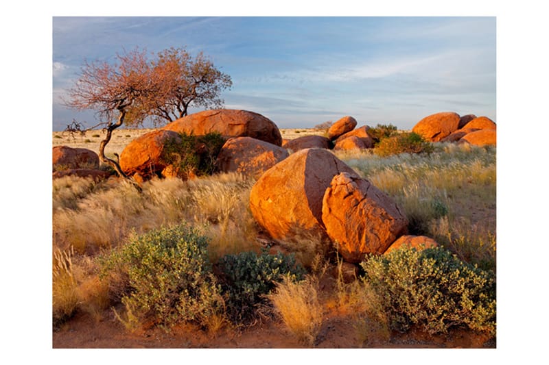 Fototapet Afrikansk Landskab Namibia 200x154 - Artgeist sp. z o. o. - Boligtilbehør - Vægdekoration - Tapeter - Fototapeter