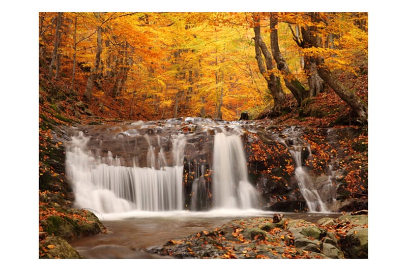 Fototapet Autumn Landscape Waterfall In Forest 300x231 - Artgeist sp. z o. o. - Boligtilbehør - Vægdekoration - Tapeter - Fototapeter