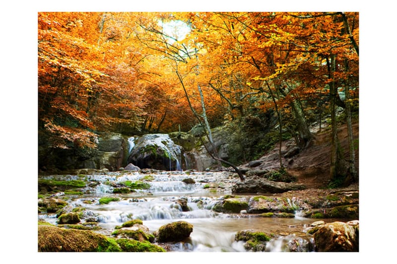 Fototapet Autumn Waterfall 200x154 - Artgeist sp. z o. o. - Boligtilbehør - Vægdekoration - Tapeter - Fototapeter