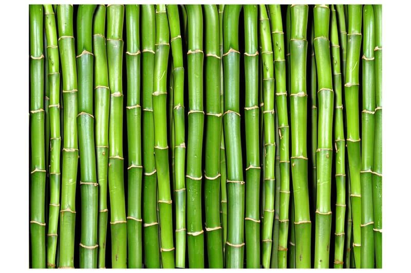 Fototapet Bamboo Wall 300x231 - Artgeist sp. z o. o. - Boligtilbehør - Vægdekoration - Tapeter - Fototapeter