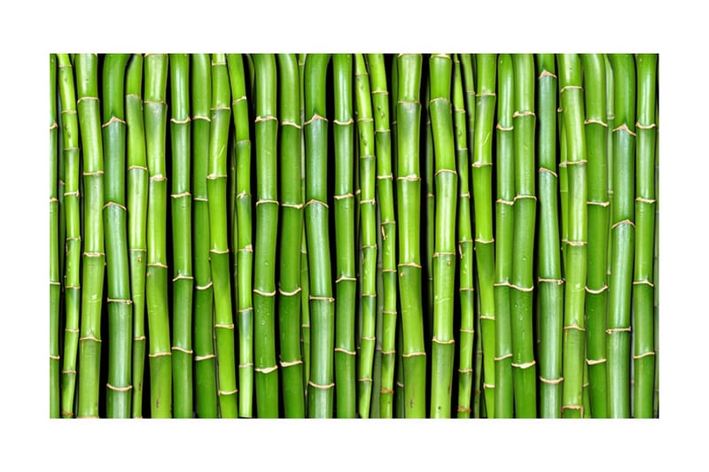 Fototapet Bamboo Wall 450x270 - Artgeist sp. z o. o. - Boligtilbehør - Vægdekoration - Tapeter - Fototapeter