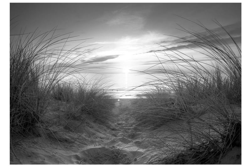 Fototapet Beach Black And White 150x105 - Artgeist sp. z o. o. - Fototapeter