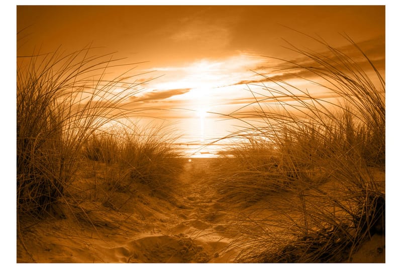 Fototapet Beach Sepia 150x105 - Artgeist sp. z o. o. - Boligtilbehør - Vægdekoration - Tapeter - Fototapeter