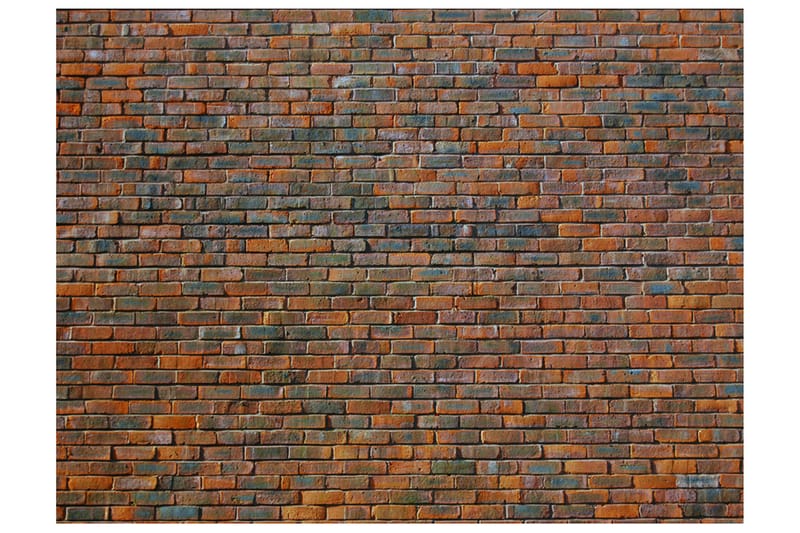 Fototapet Brickwall 200x154 - Artgeist sp. z o. o. - Boligtilbehør - Vægdekoration - Tapeter - Fototapeter