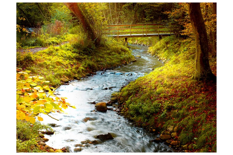 Fototapet Brook Sunrise 300x231 - Artgeist sp. z o. o. - Boligtilbehør - Vægdekoration - Tapeter - Fototapeter