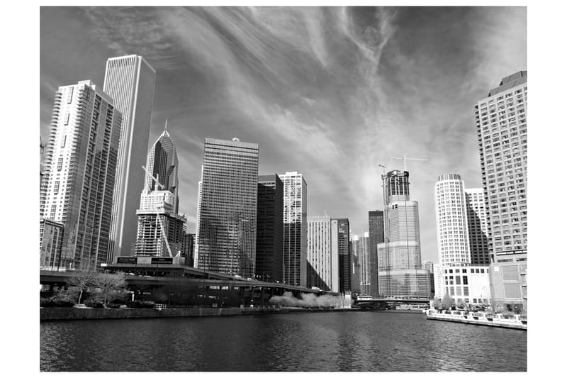 Fototapet Chicago Skyline Sorthvid 300x231 - Artgeist sp. z o. o. - Boligtilbehør - Vægdekoration - Tapeter - Fototapeter