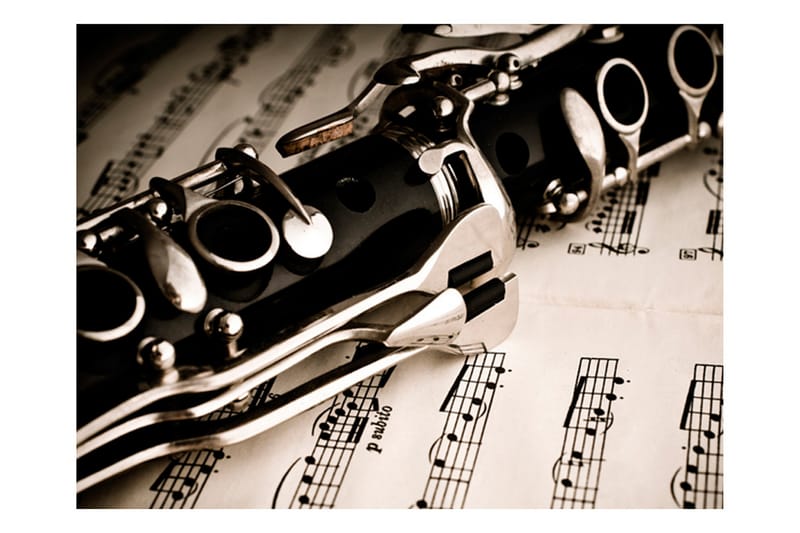 Fototapet Clarinet And Music Notes 250x193 - Artgeist sp. z o. o. - Boligtilbehør - Vægdekoration - Tapeter - Fototapeter