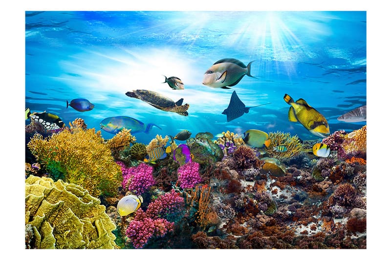 Fototapet Coral Reef 100x70 - Artgeist sp. z o. o. - Boligtilbehør - Vægdekoration - Tapeter - Fototapeter