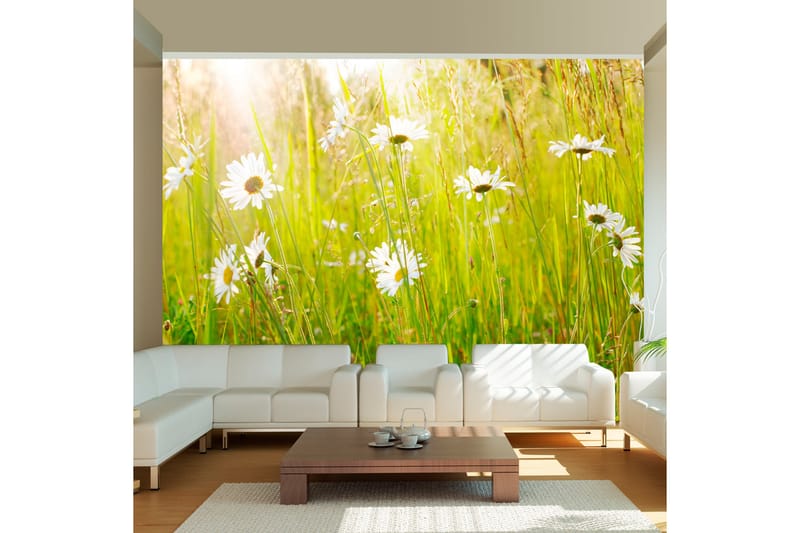 Fototapet Daisy Field 200x154 - Artgeist sp. z o. o. - Boligtilbehør - Vægdekoration - Tapeter - Fototapeter