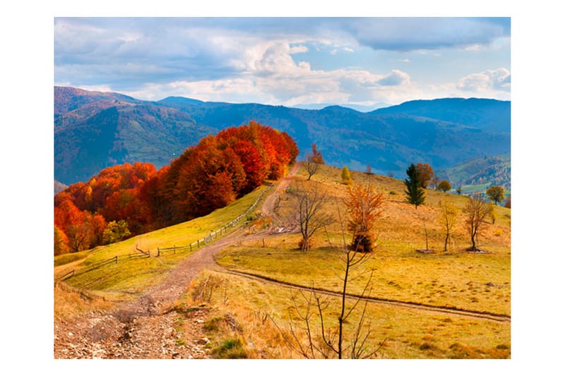 Fototapet Efterårs Landskab Karpaterna 350x270 - Artgeist sp. z o. o. - Boligtilbehør - Vægdekoration - Tapeter - Fototapeter