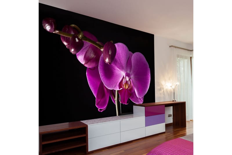 Fototapet Elegant Orchids 200x154 - Artgeist sp. z o. o. - Fototapeter