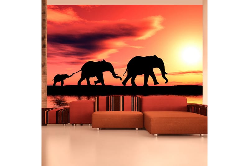 Fototapet Elephants Family 350x270 - Artgeist sp. z o. o. - Boligtilbehør - Vægdekoration - Tapeter - Fototapeter