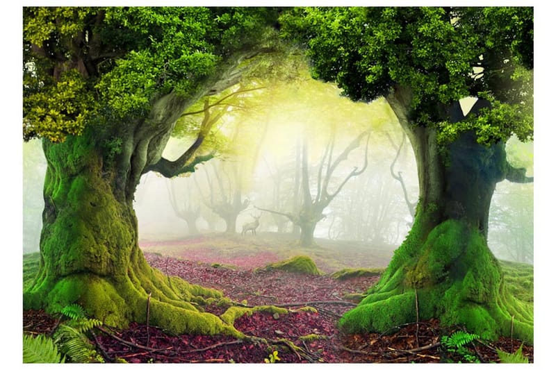 Fototapet Enchanted Forest 200x140 - Artgeist sp. z o. o. - Fototapeter