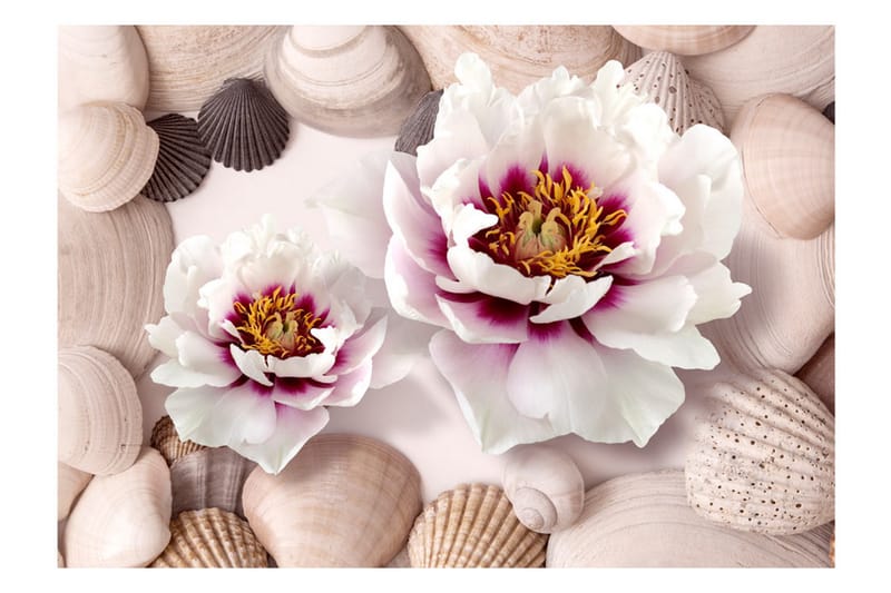 Fototapet Flowers And Shells 250x175 - Artgeist sp. z o. o. - Boligtilbehør - Vægdekoration - Tapeter - Fototapeter