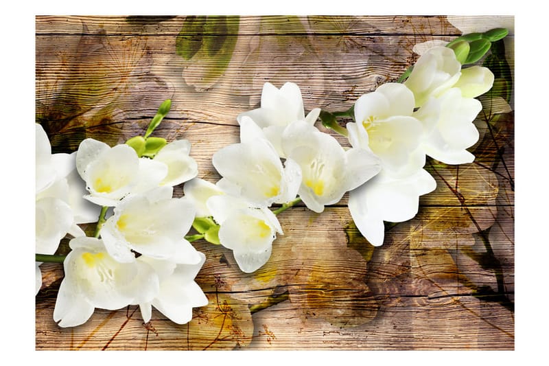 Fototapet Freesia On Wood 300x210 - Artgeist sp. z o. o. - Boligtilbehør - Vægdekoration - Tapeter - Fototapeter