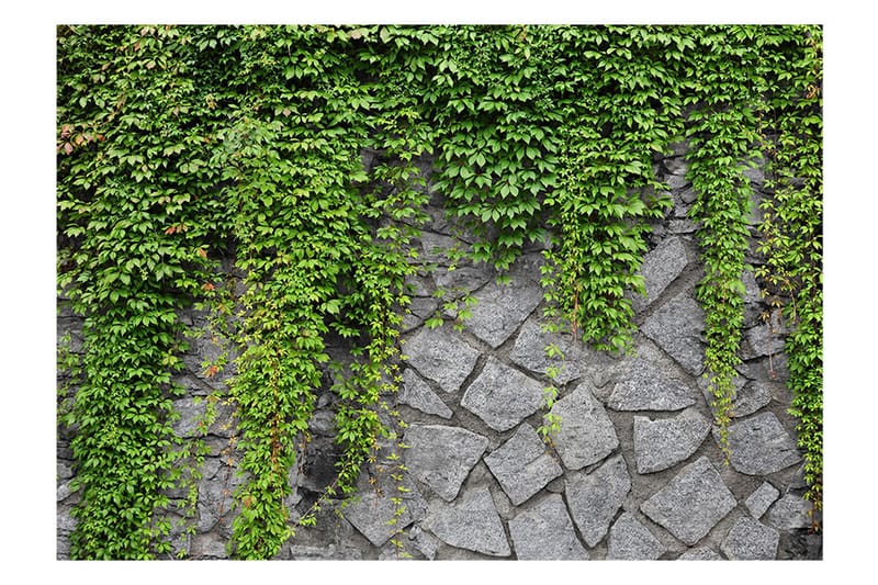 Fototapet Green Wall 300x210 - Artgeist sp. z o. o. - Boligtilbehør - Vægdekoration - Tapeter - Fototapeter