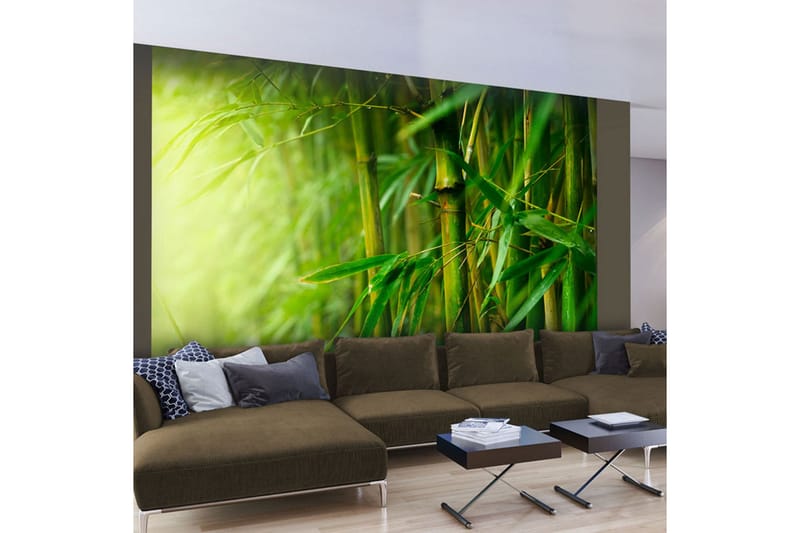 Fototapet Jungle Bamboo 300x231 - Artgeist sp. z o. o. - Boligtilbehør - Vægdekoration - Tapeter - Fototapeter