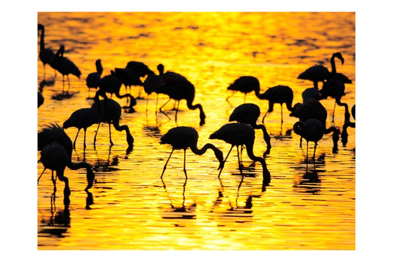 Fototapet Kenya Flamingoer Ved Søen Nakuru 300x231 - Artgeist sp. z o. o. - Boligtilbehør - Vægdekoration - Tapeter - Fototapeter