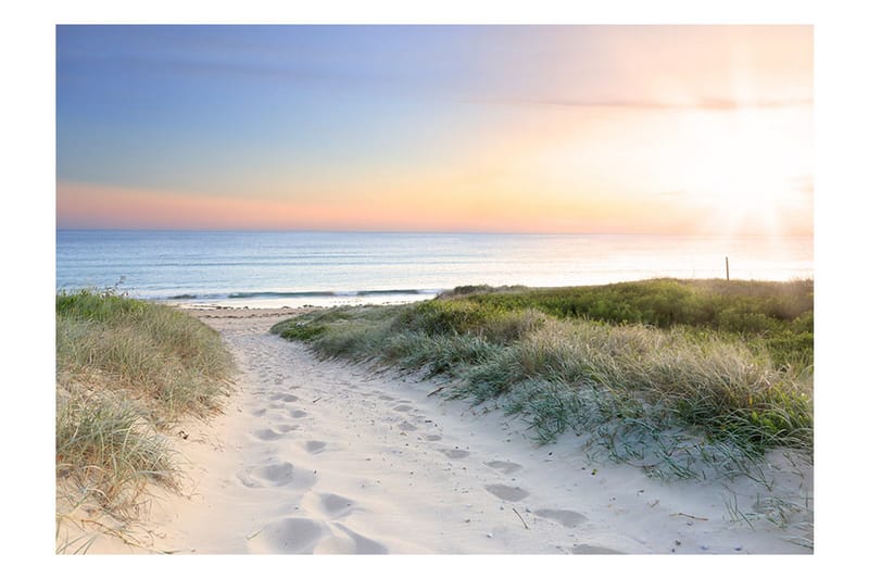 Fototapet Morning Walk On The Beach 100x70 - Artgeist sp. z o. o. - Boligtilbehør - Vægdekoration - Tapeter - Fototapeter