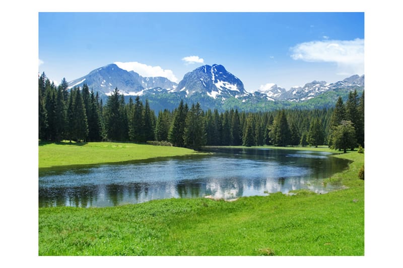 Fototapet National Park Durmitor Montenegro 300x231 - Artgeist sp. z o. o. - Boligtilbehør - Vægdekoration - Tapeter - Fototapeter