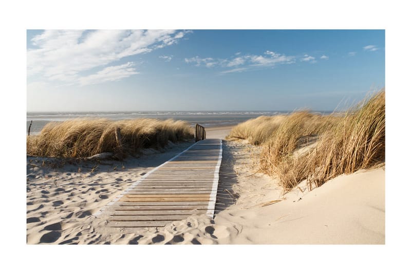 Fototapet Nordsjöns Strand Langeoog 450x270 - Artgeist sp. z o. o. - Boligtilbehør - Vægdekoration - Tapeter - Fototapeter