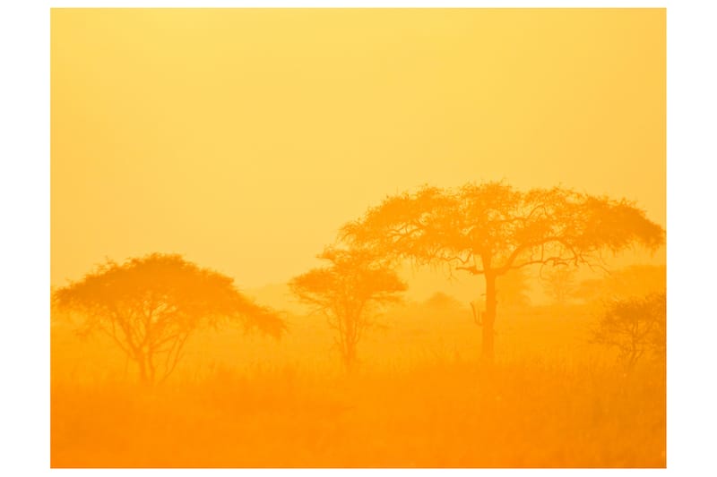 Fototapet Orange Savanna 400x309 - Artgeist sp. z o. o. - Boligtilbehør - Vægdekoration - Tapeter - Fototapeter