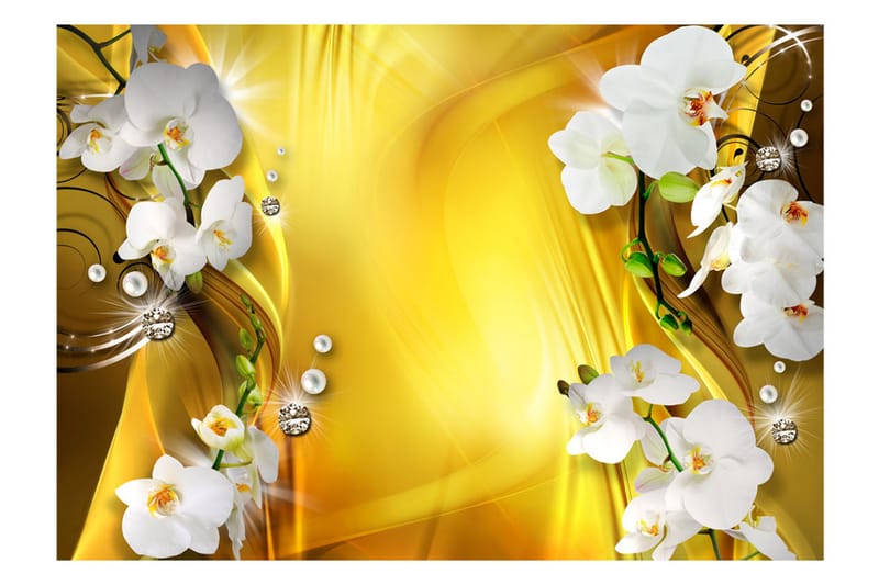 Fototapet Orchid In Gold 350x245 - Artgeist sp. z o. o. - Boligtilbehør - Vægdekoration - Tapeter - Fototapeter