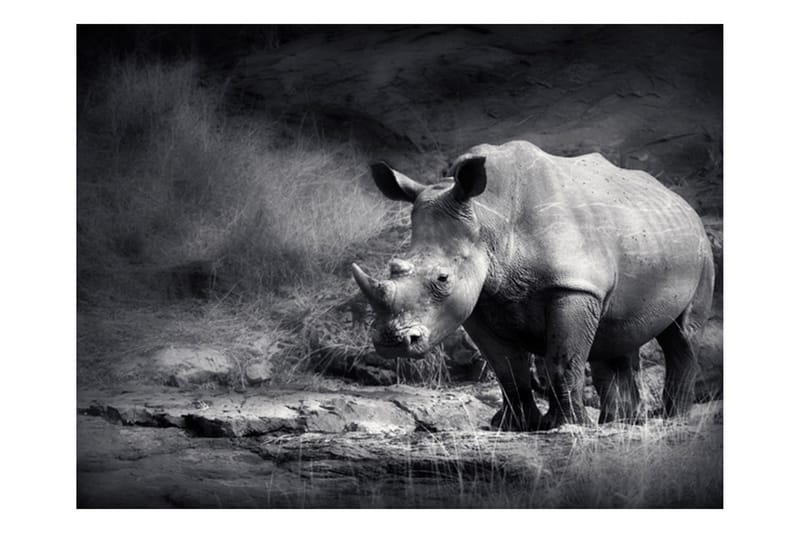 Fototapet Rhino Lost In Dreams 250x193 - Artgeist sp. z o. o. - Boligtilbehør - Vægdekoration - Tapeter - Fototapeter