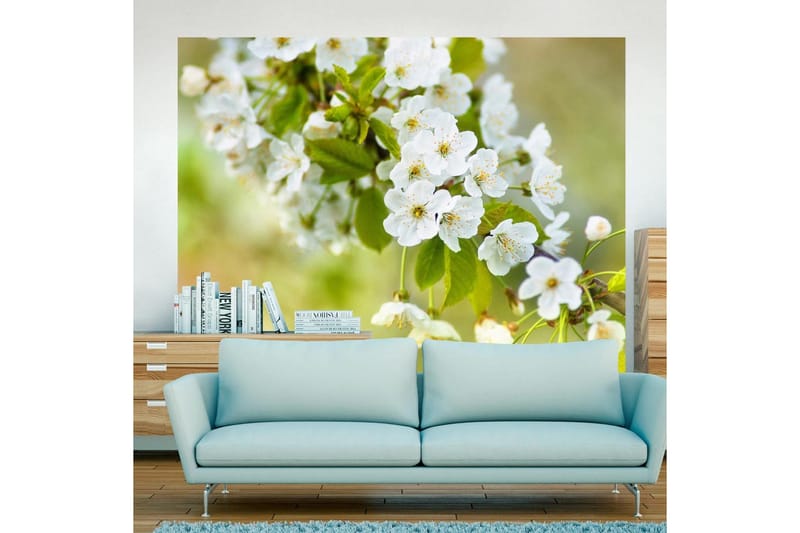 Fototapet Smukke Følsomme Kirsebær Blomster 350x270 - Artgeist sp. z o. o. - Boligtilbehør - Vægdekoration - Tapeter - Fototapeter