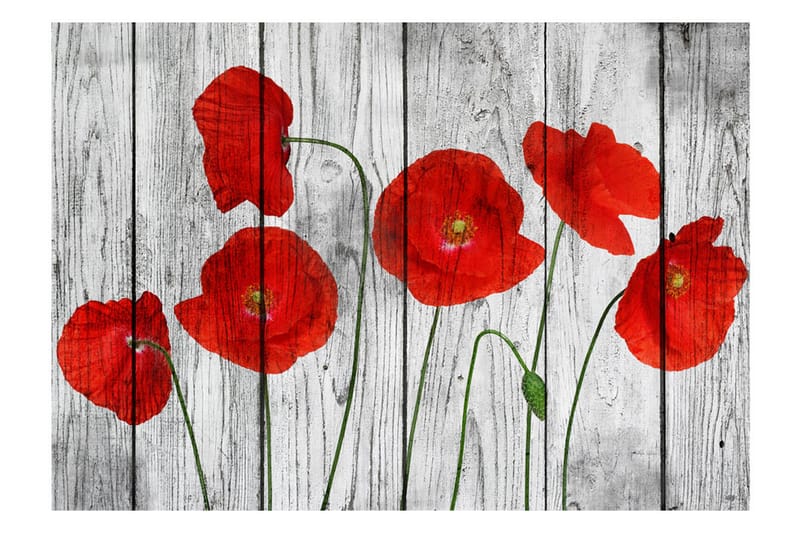 Fototapet Tale Of Red Poppies 100x70 - Artgeist sp. z o. o. - Boligtilbehør - Vægdekoration - Tapeter - Fototapeter