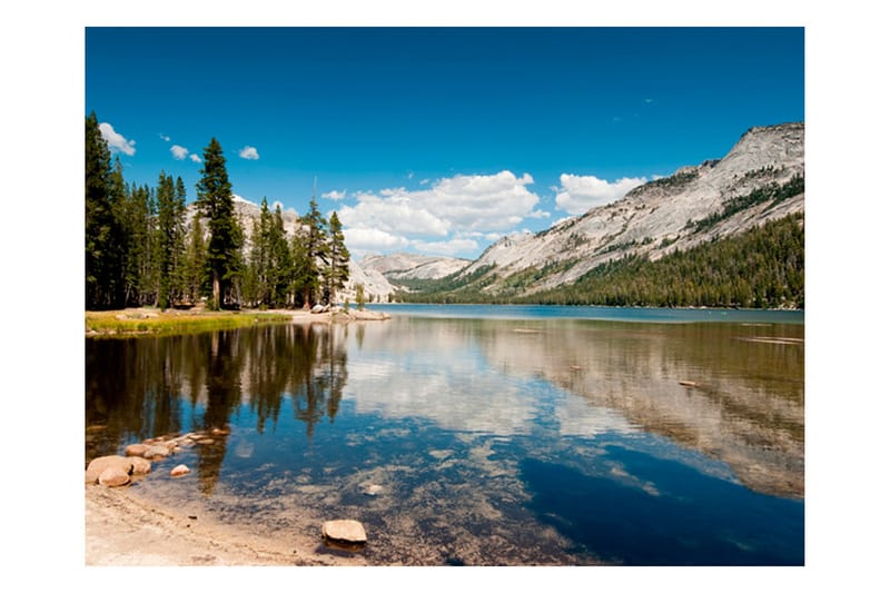 Fototapet Tenaya Lake Yosemite National Park 300x231 - Artgeist sp. z o. o. - Boligtilbehør - Vægdekoration - Tapeter - Fototapeter