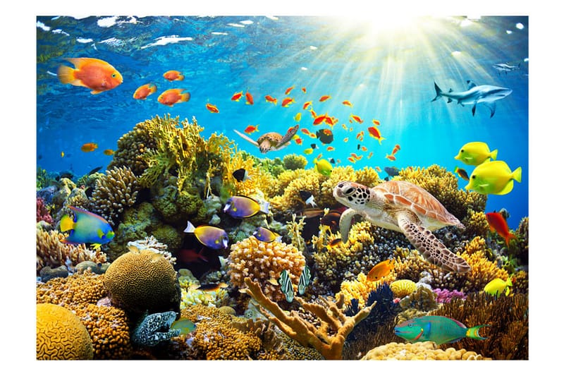 Fototapet Underwater Land 100x70 - Artgeist sp. z o. o. - Boligtilbehør - Vægdekoration - Tapeter - Fototapeter