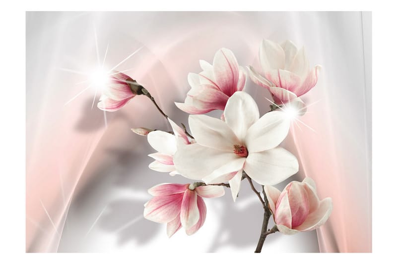 Fototapet White Magnolias 100x70 - Artgeist sp. z o. o. - Fototapeter