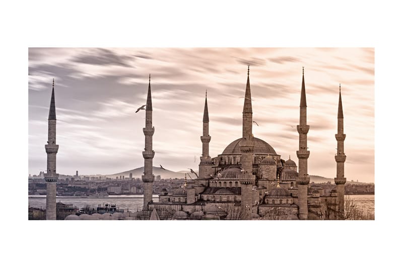 Fototapet XXL Blue Mosque Istanbul 550x270 - Artgeist sp. z o. o. - Boligtilbehør - Vægdekoration - Tapeter - Fototapeter