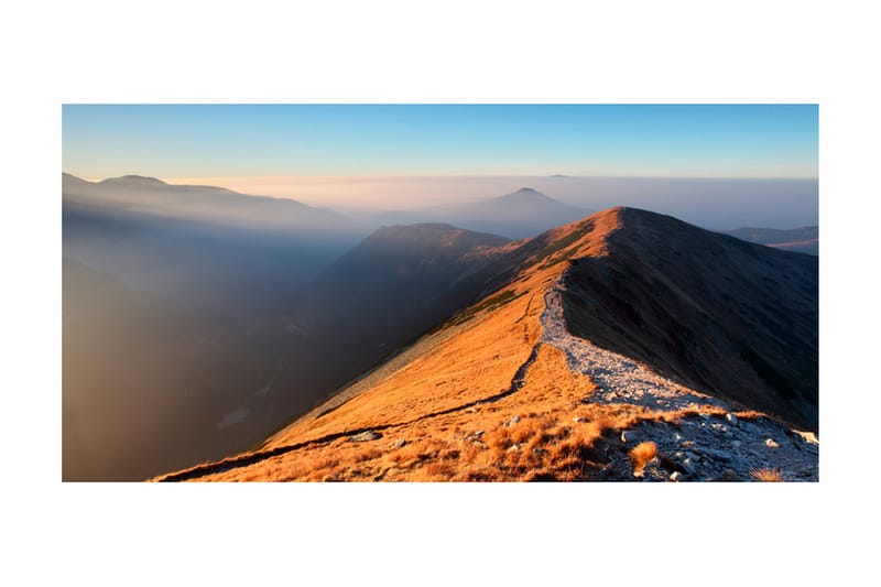 Fototapet XXL Mountain Path Tatry 550x270 - Artgeist sp. z o. o. - Boligtilbehør - Vægdekoration - Tapeter - Fototapeter