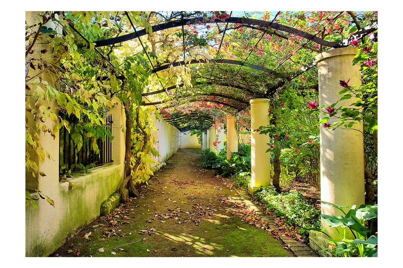 Fototapet Pergola 100x70 - Artgeist sp. z o. o. - Boligtilbehør - Vægdekoration - Tapeter - Fototapeter