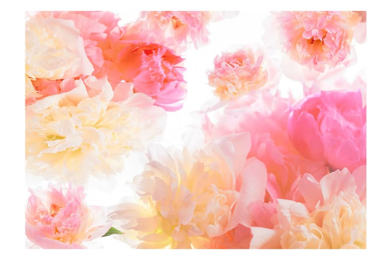 Fototapet Pastel Peonies 250x175 - Artgeist sp. z o. o. - Boligtilbehør - Vægdekoration - Tapeter - Fototapeter