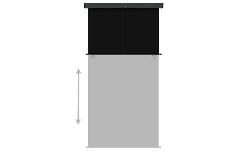 sidemarkise til altan 160x250 cm sort - Sort - Havemøbler - Solafskærmning - Markiser - Vinduesmarkise