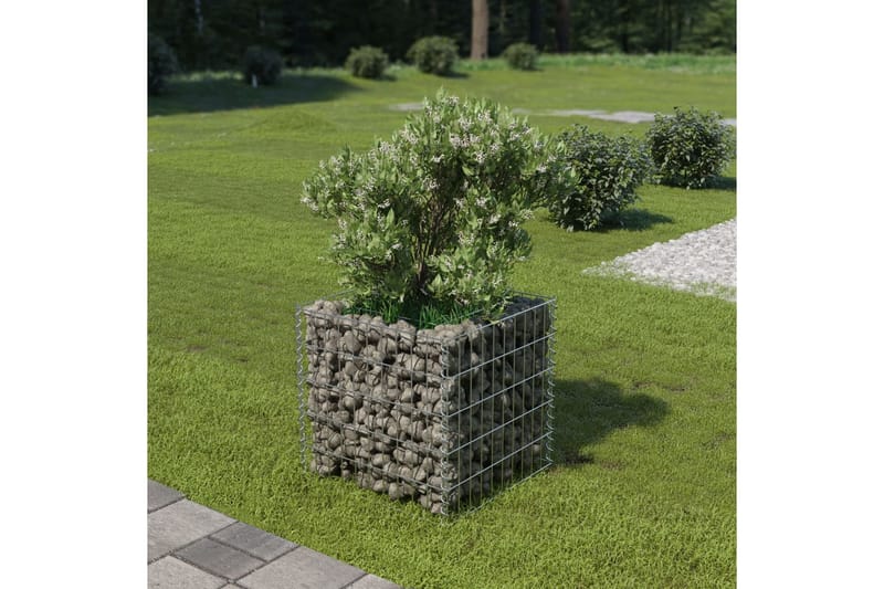 gabion-højbed 50x50x50 cm galvaniseret stål - Sølv - Hus & renovering - Indsynsbeskyttelse & indhegning - Mur - Gabion