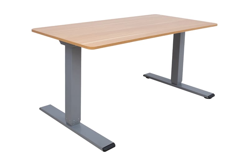 Ergo Optimal Skrivebord med 2 motor 160x80 cm Træ/Grå - Møbler - Borde - Kontorbord - Skrivebord