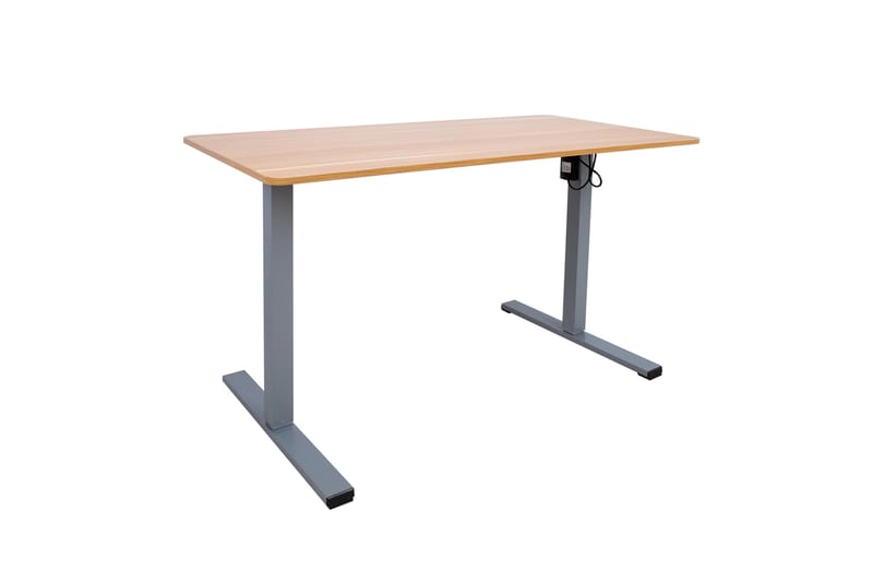 Ergo Optimal Skrivebord med motor 120x60 cm Træ/Grå - Skrivebord