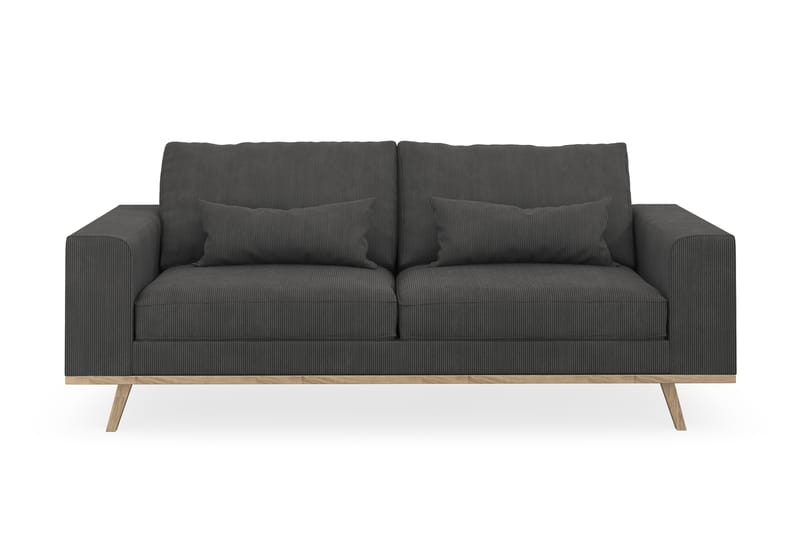 Copenhagen 2-pers Sofa - Lædersofaer - Velour sofaer - 3 personers sofa - 4 personers sofa - Sofaer - 2 personers sofa