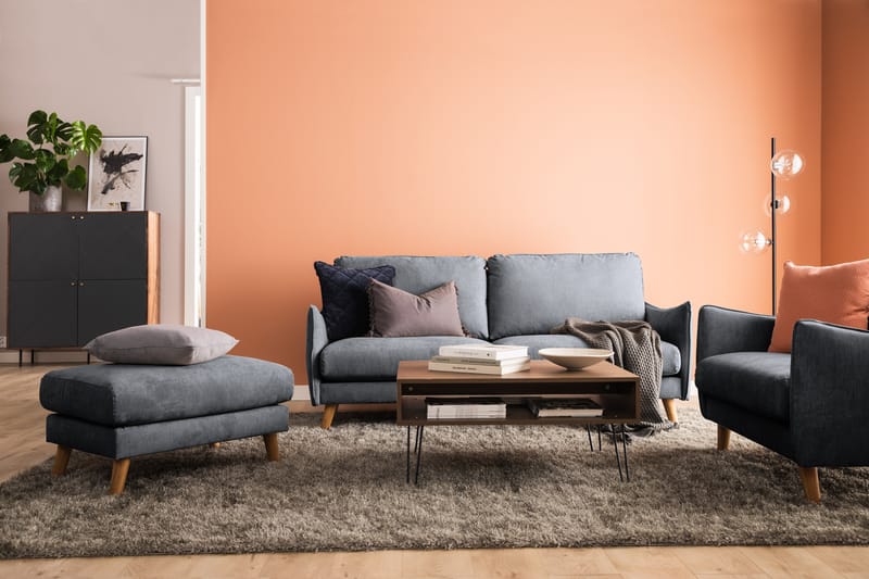 Trend Lyx 2-Pers. Sofa - Mørkegrå - 2 personers sofa