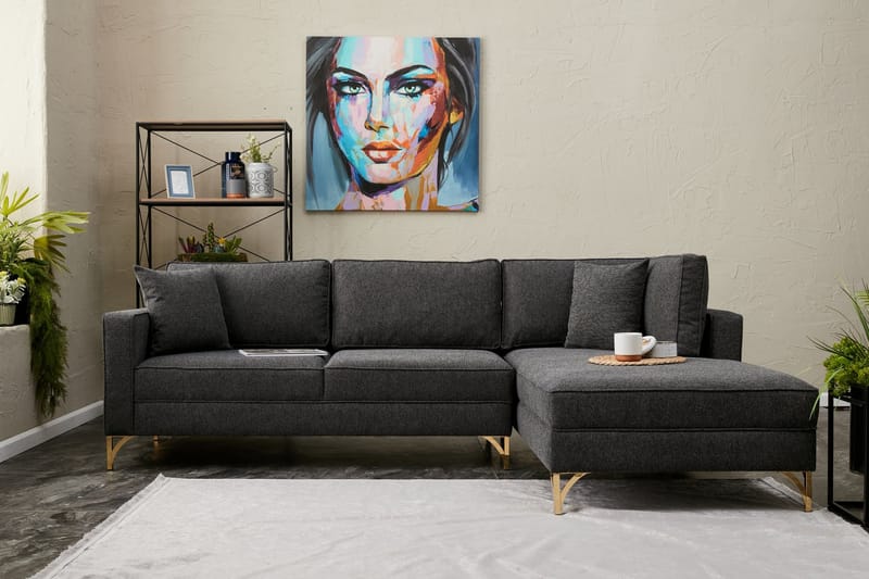 Retzow Sofa med Divan 4-personer - Antracit - Møbler - Sofaer - Sofa med chaiselong