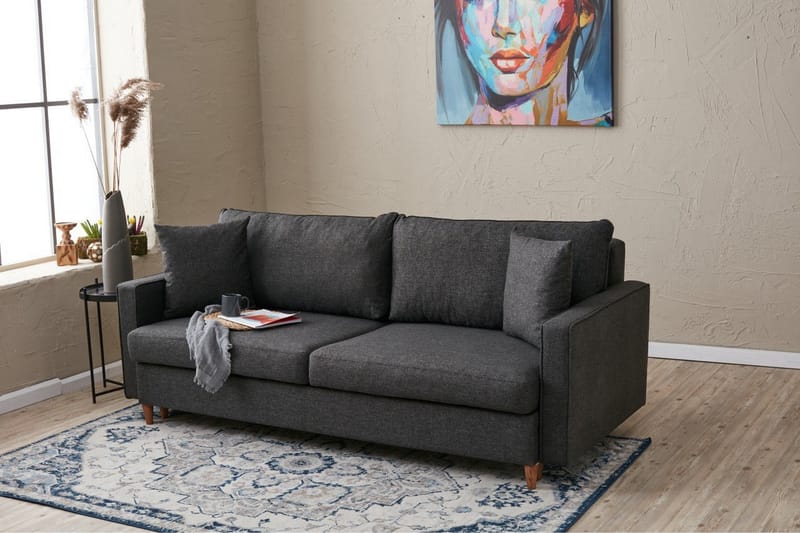 Braneles Sovesofa 3-seter - Antracit - Møbler - Sofaer - Sovesofaer