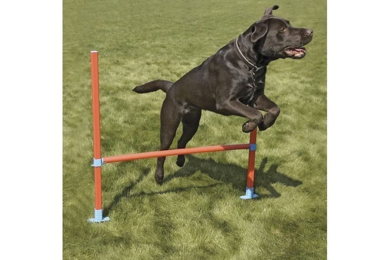 Agility-Hinder med Bæretaske Orange/Turkis - Sport & fritid - Til dyrene - Til hund - Hundetræning & agility