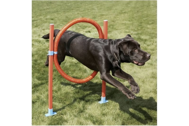 Agility-Hoppering med Bæretaske Orange/Turkis - Sport & fritid - Til dyrene - Til hund - Hundetræning & agility